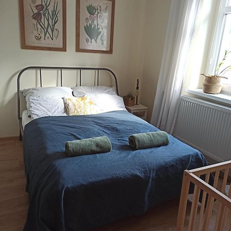 Apartament Przy Wandy Zelená Hora Exteriér fotografie